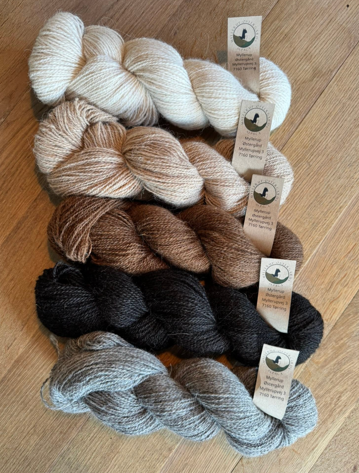 RØNN - 04